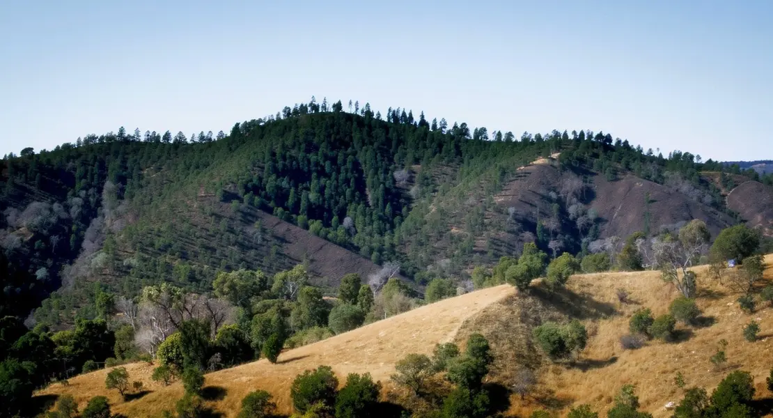 Los Altos Hills