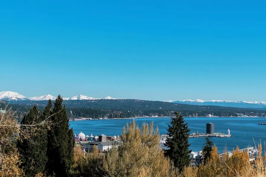 Vashon