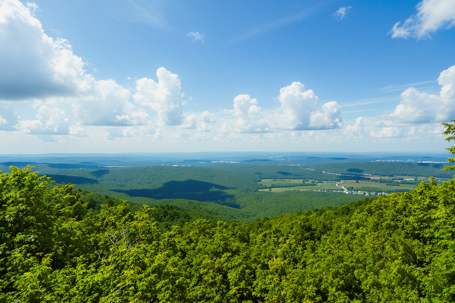 Glen Dale