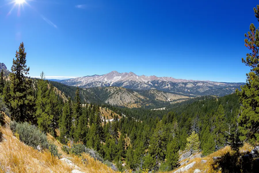 Shaver Lake
