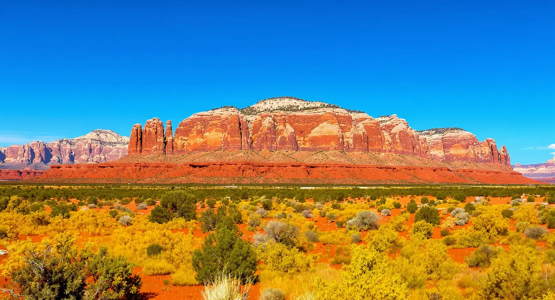 Saint George