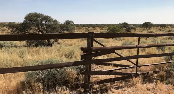 Living the Ranch Life: What to Consider Before Purchasing Your Texas Dream Property,Milton Dailey
