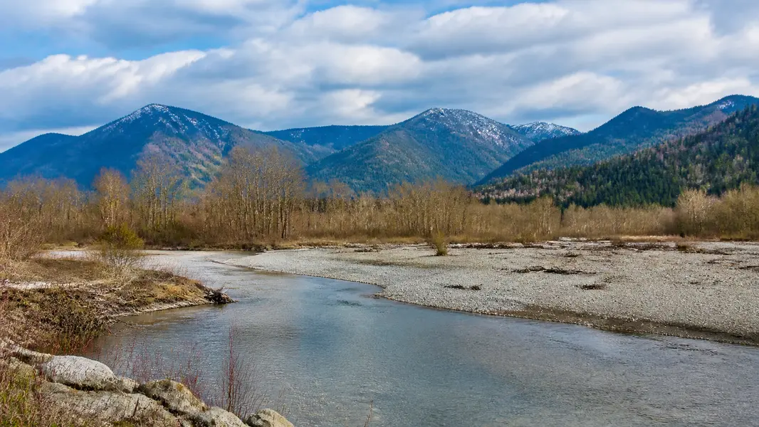 Maple Ridge