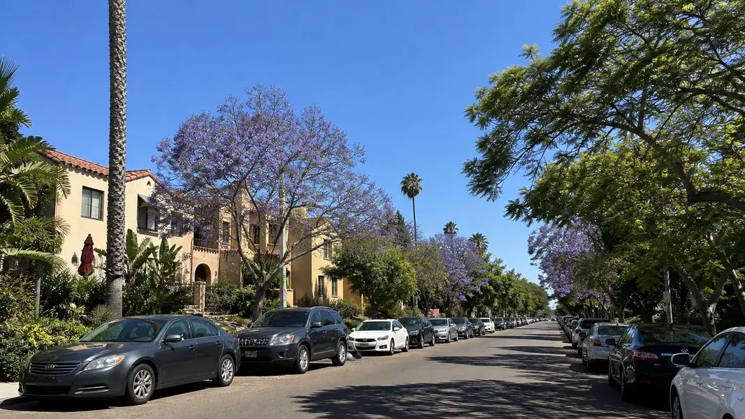 University Heights
