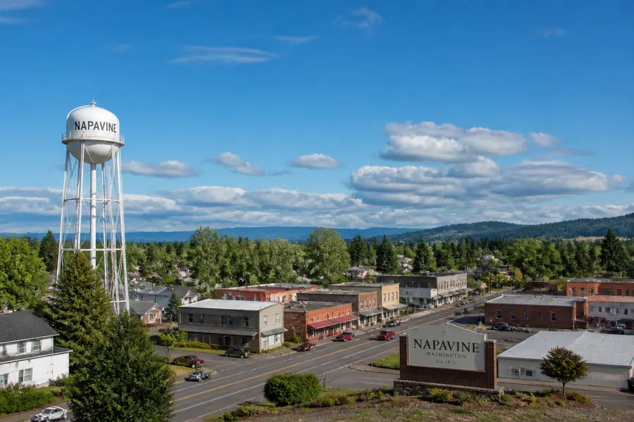 Napavine