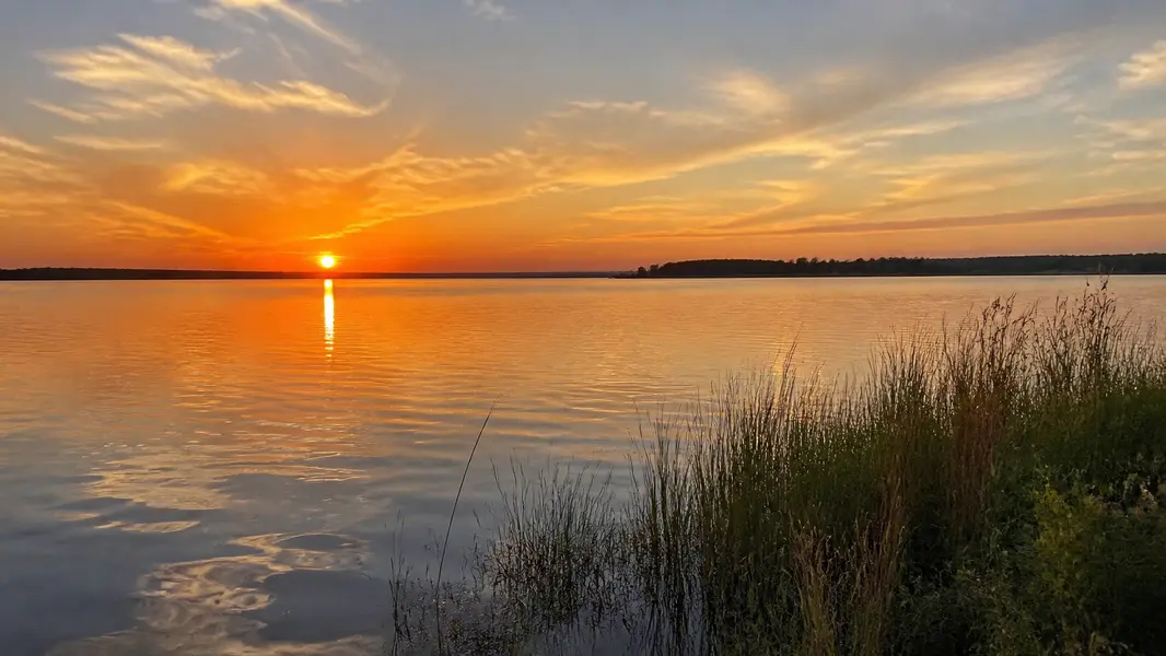 Lake Panasoffkee