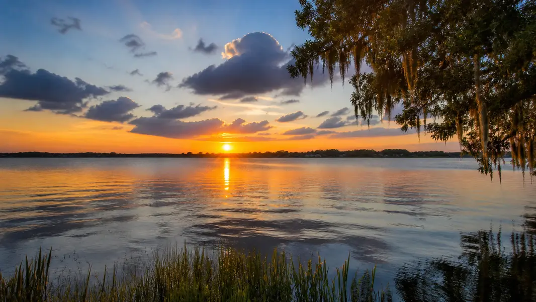 Lake Alfred