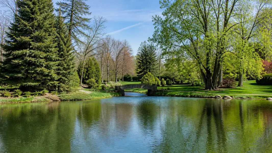 Bloomfield Hills