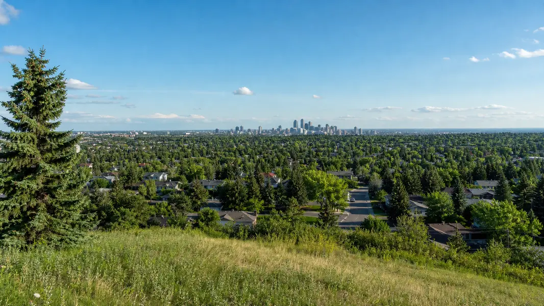 Forest Heights