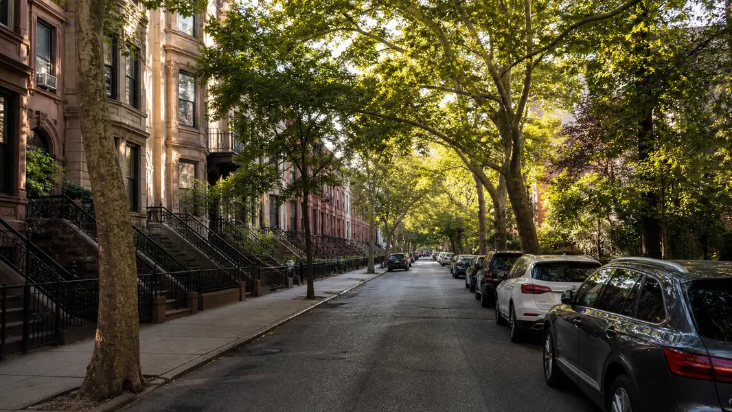Stuyvesant Heights