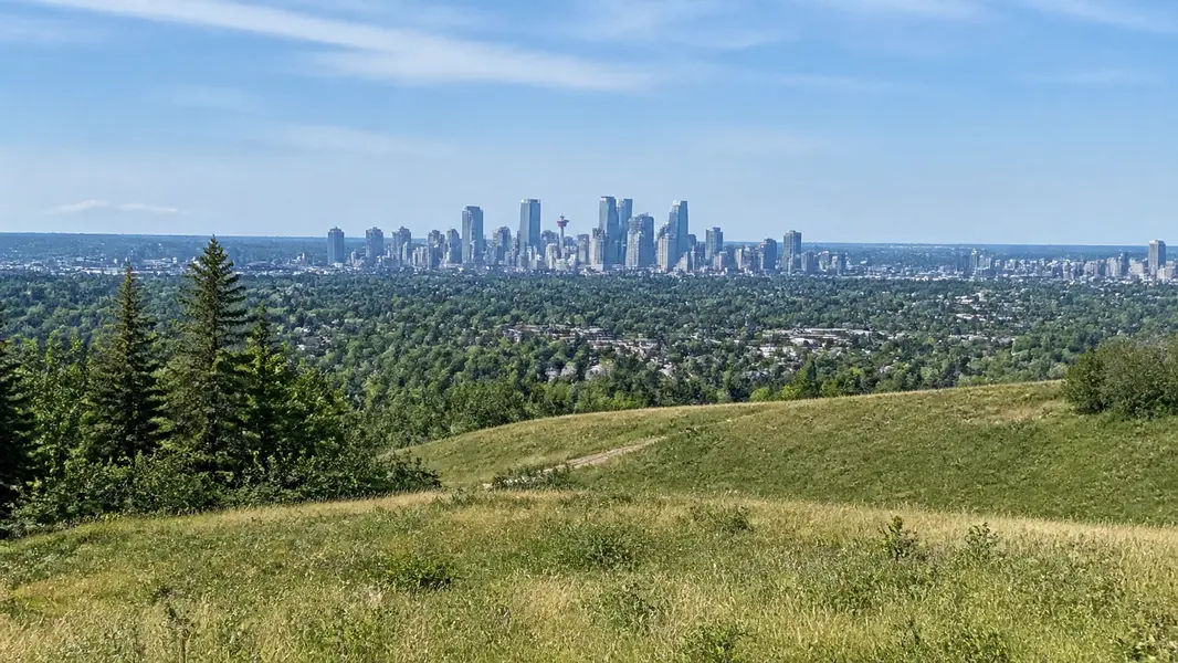 Lincoln Park