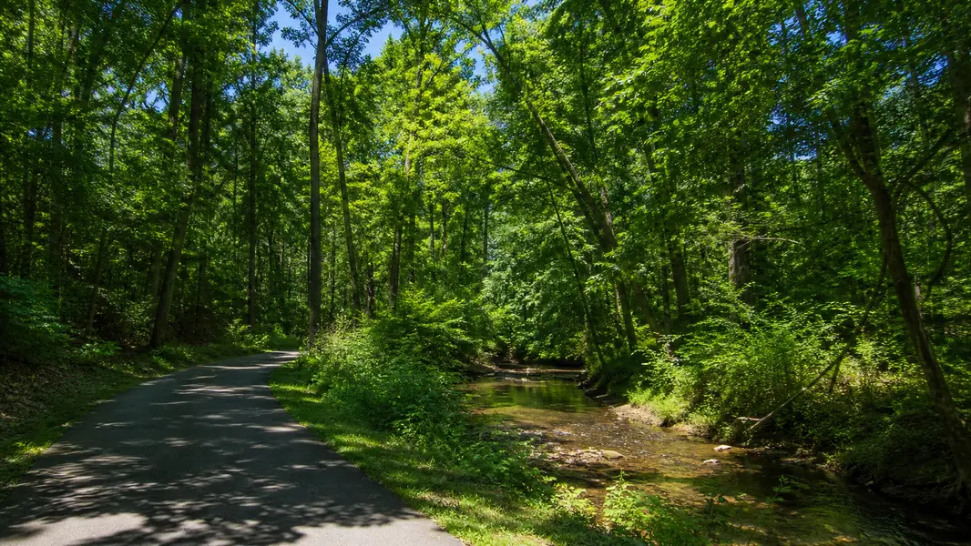Kincaid Forest