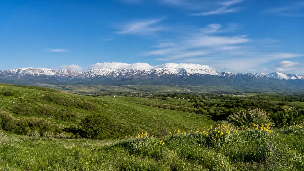 Pleasant View