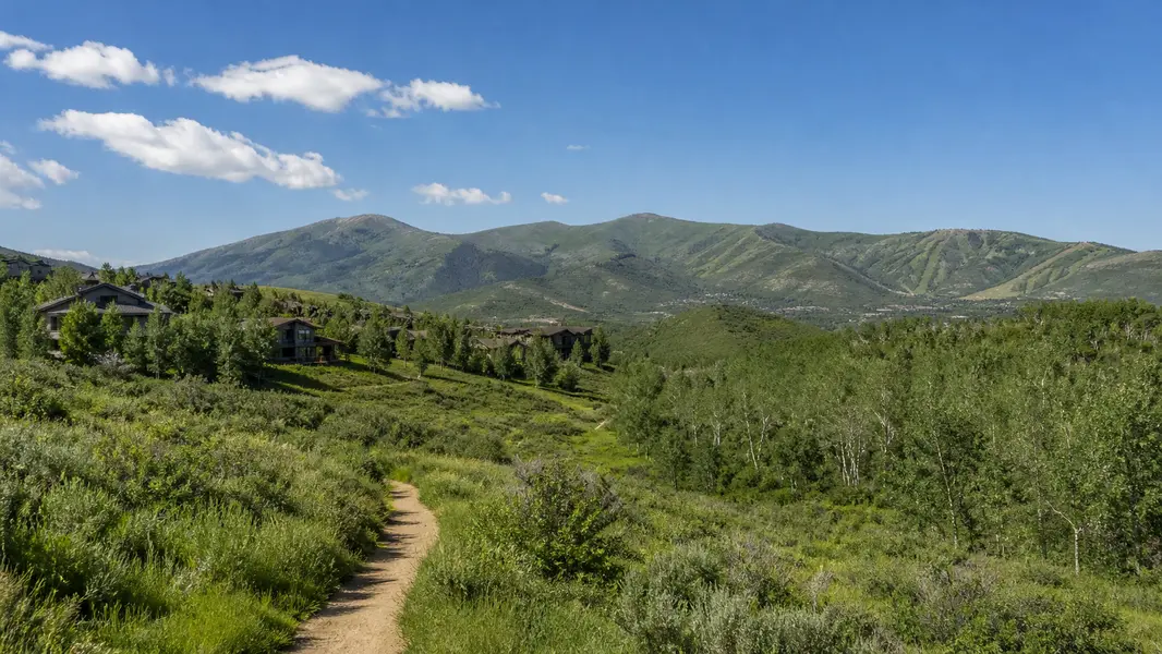 Trailside