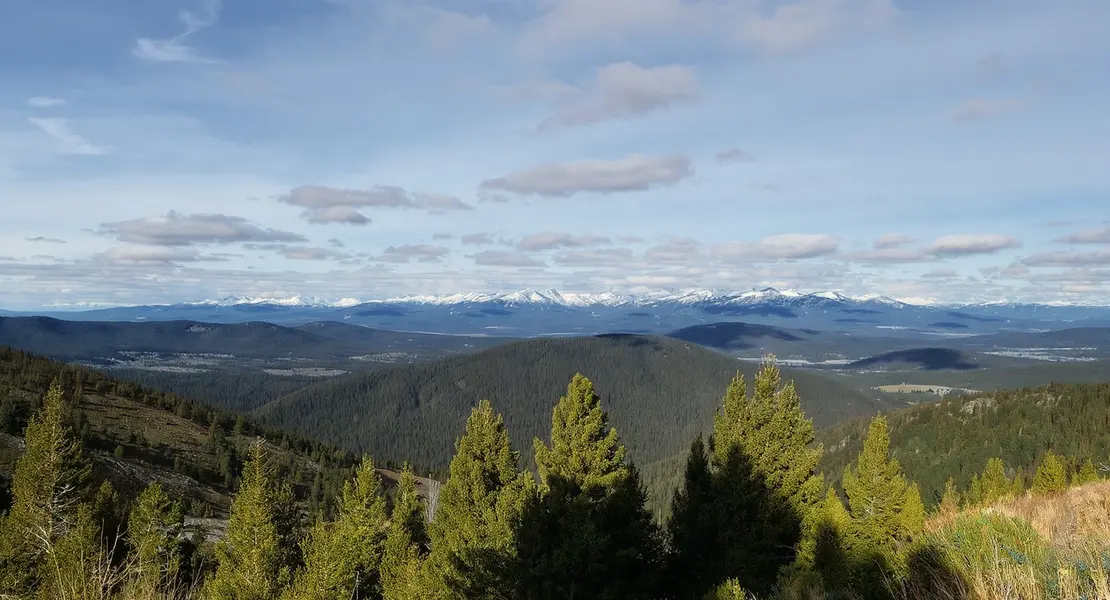 La Pine
