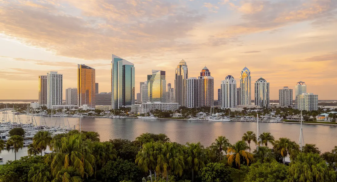 Palm City