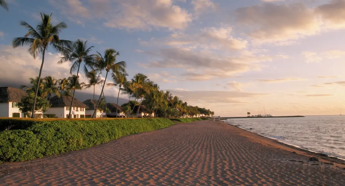 Koloa