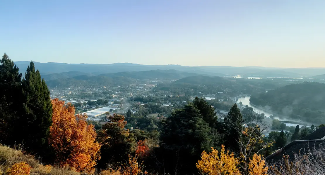 Pinecrest