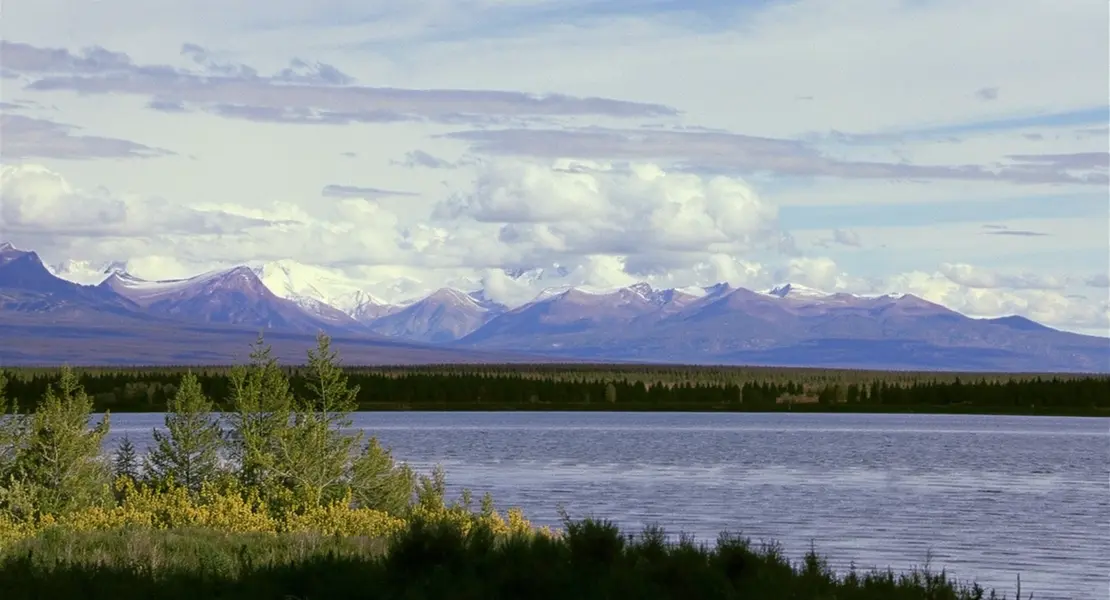 Kenai