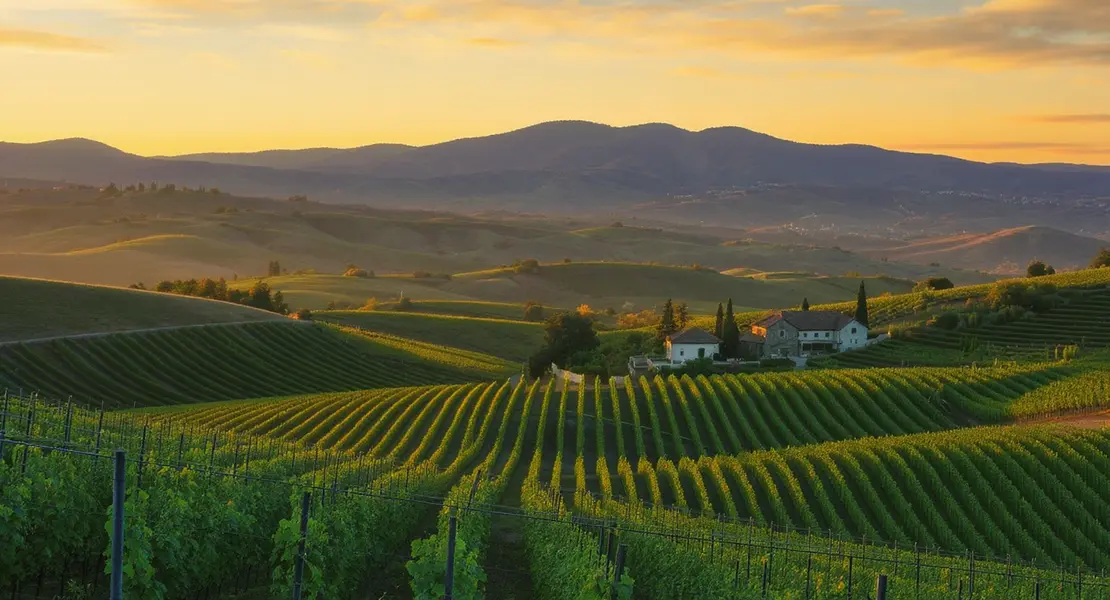 Sonoma