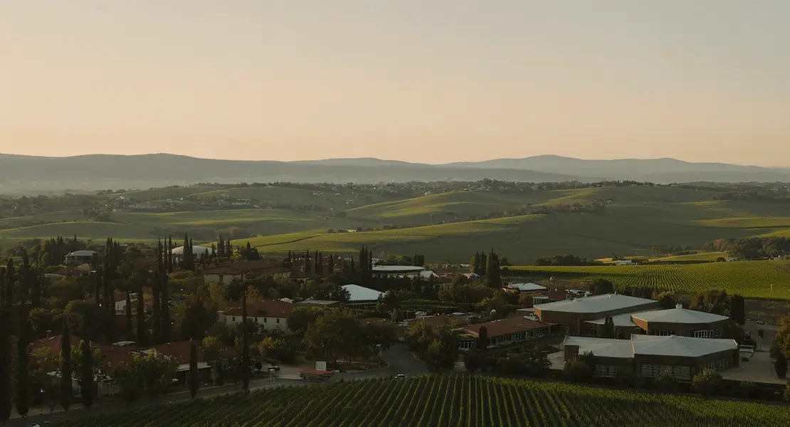 Napa