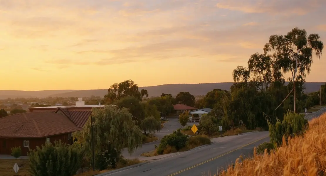 Cotati