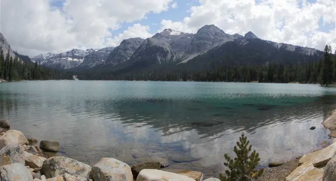 Bass Lake