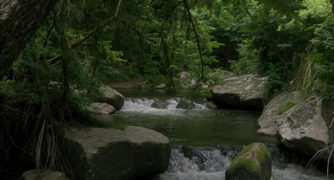 Troutville
