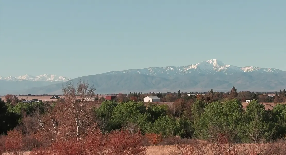 Prosser