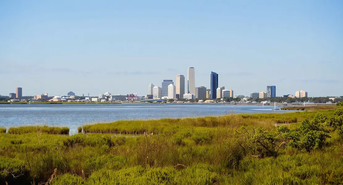 Saint Simons Island