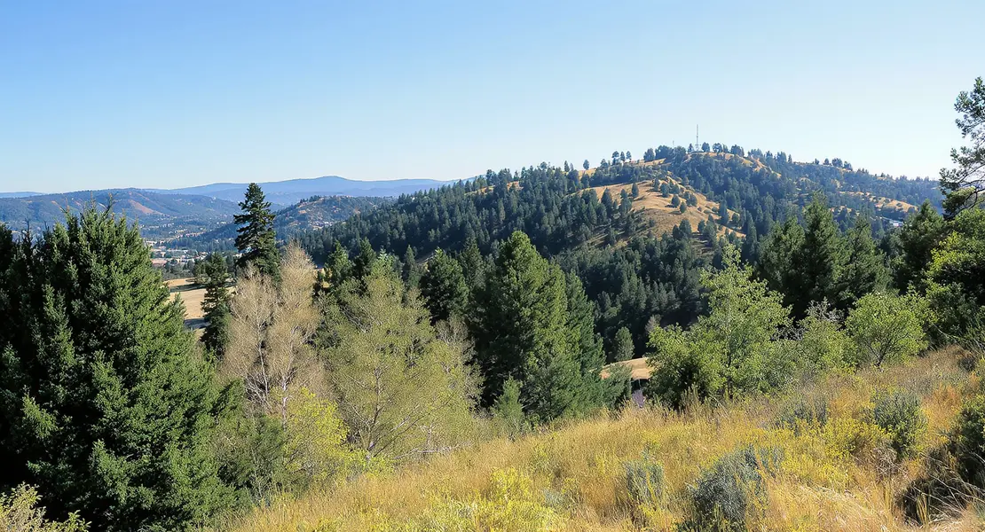 Greenbrae