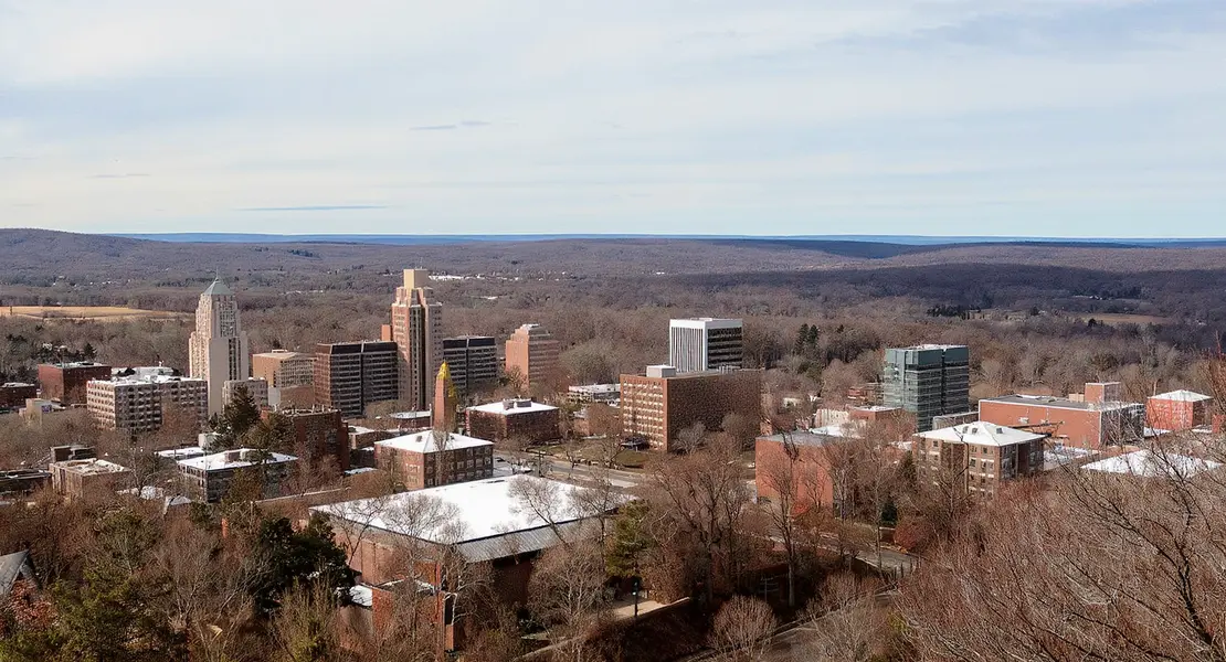 Auburn
