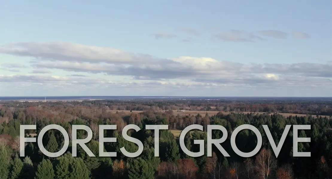 Forest Grove