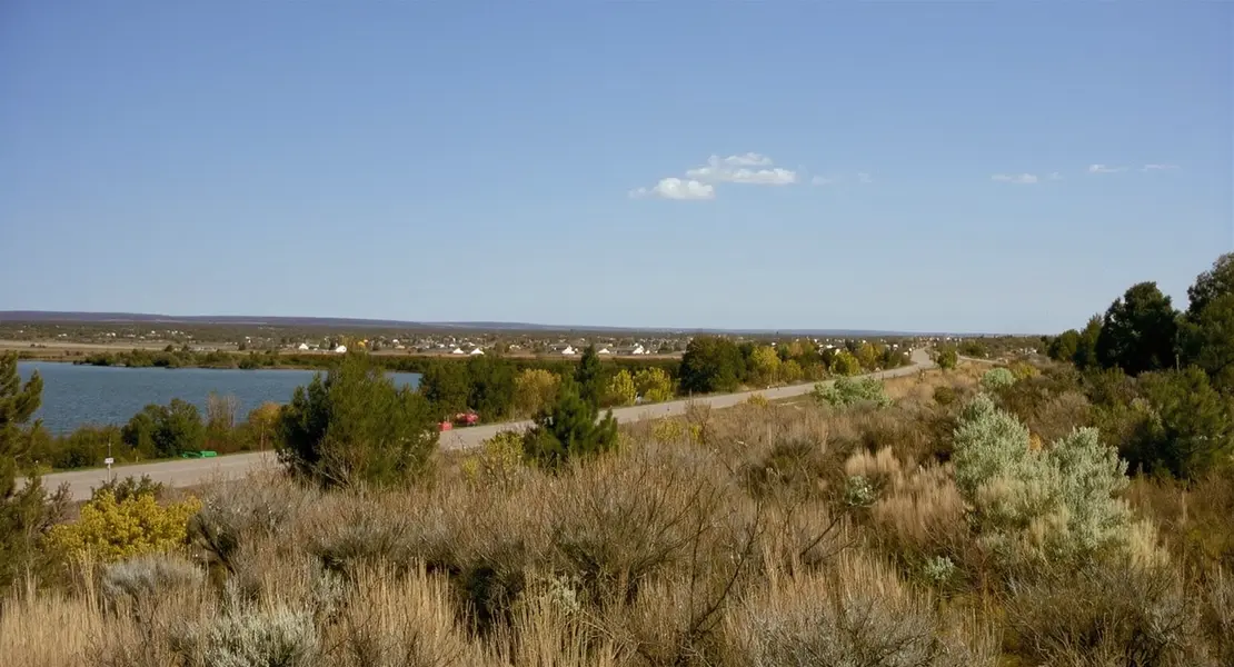 Tenino