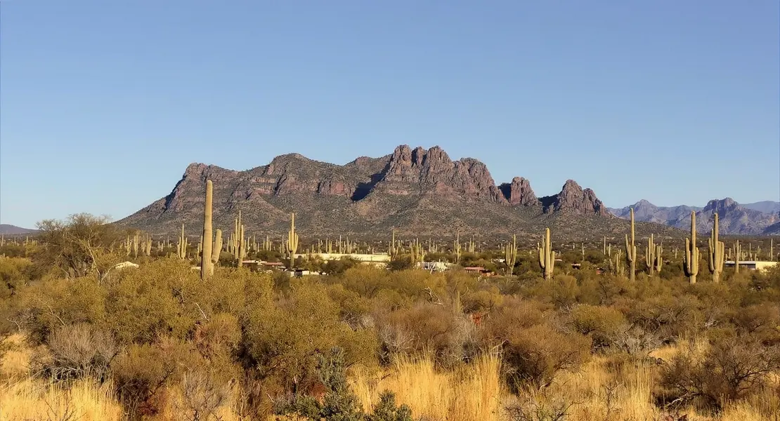Corona De Tucson