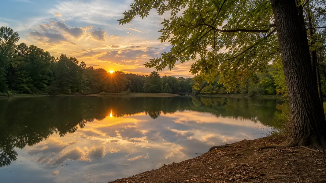 Holly Springs