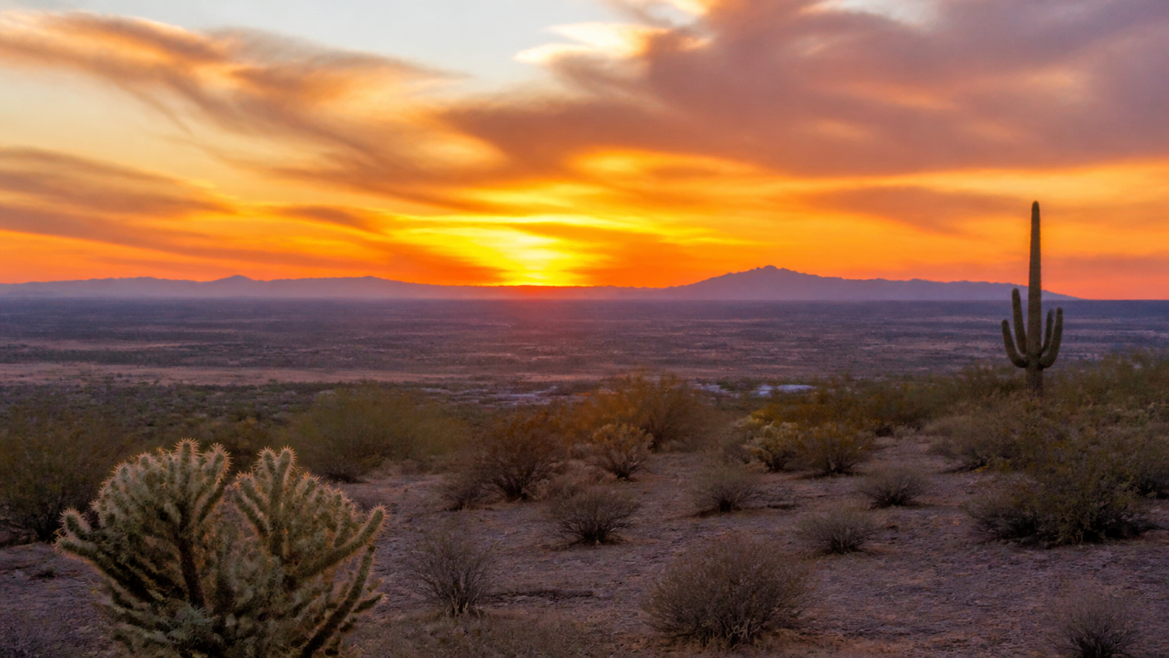 San Tan Valley, Arizona neighborhood