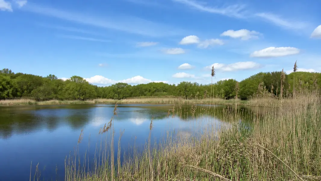 Middle Island