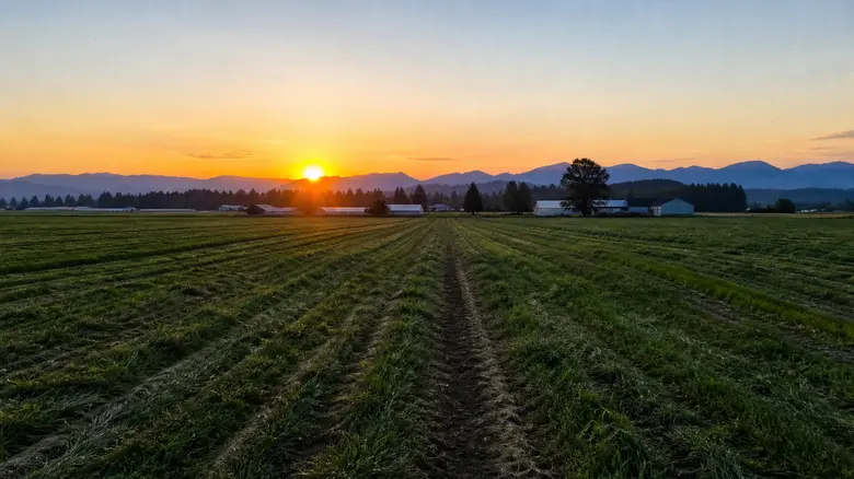 Abbotsford, BC