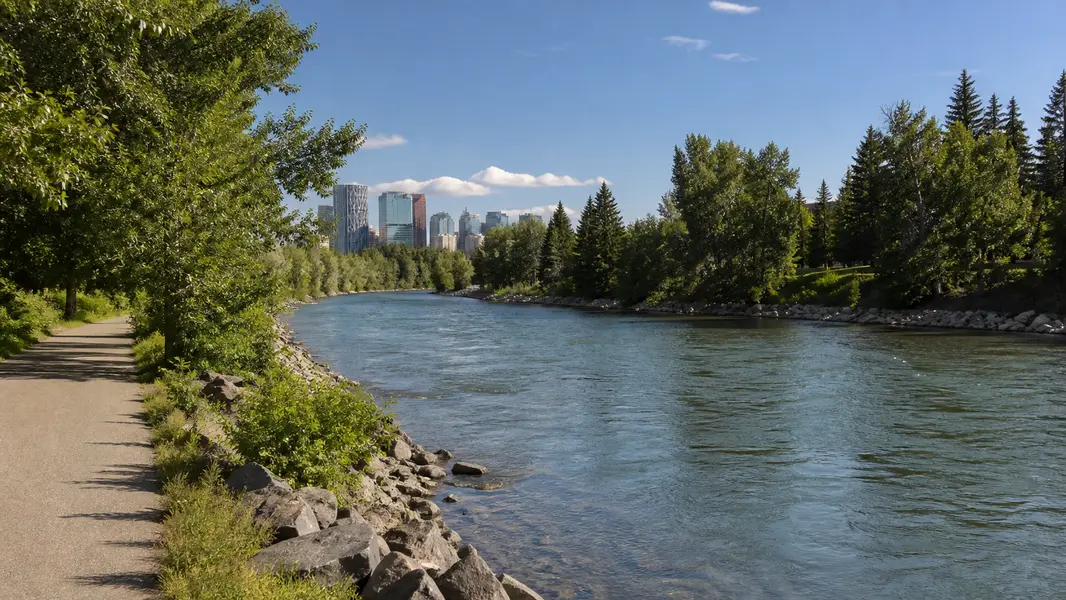 Elbow Park