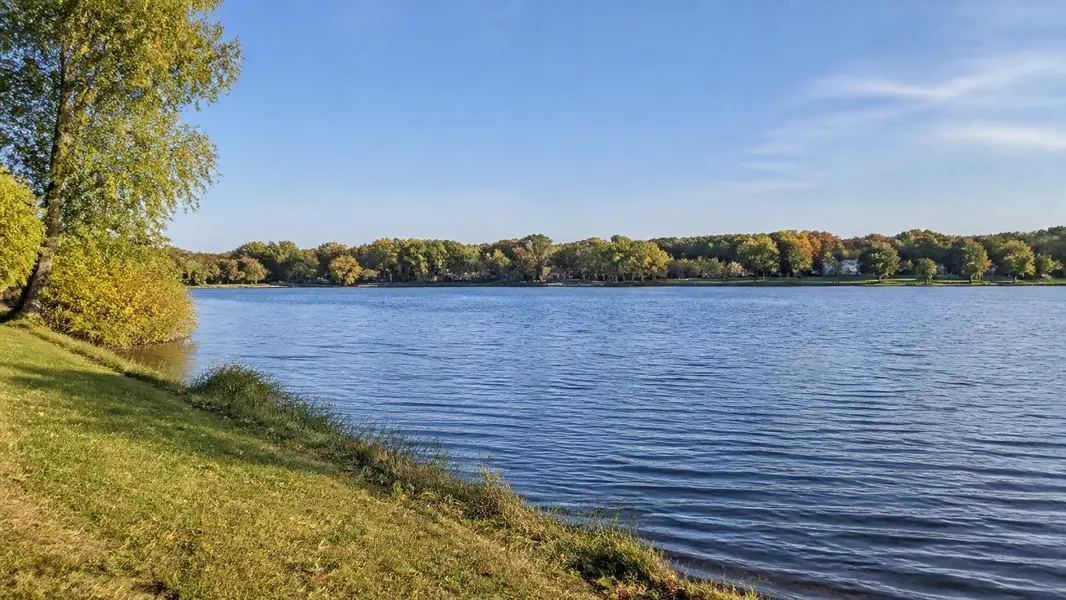 Maple Grove