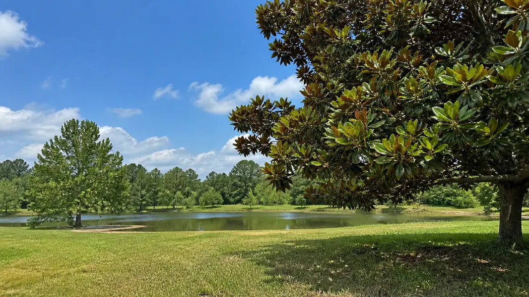 Magnolia