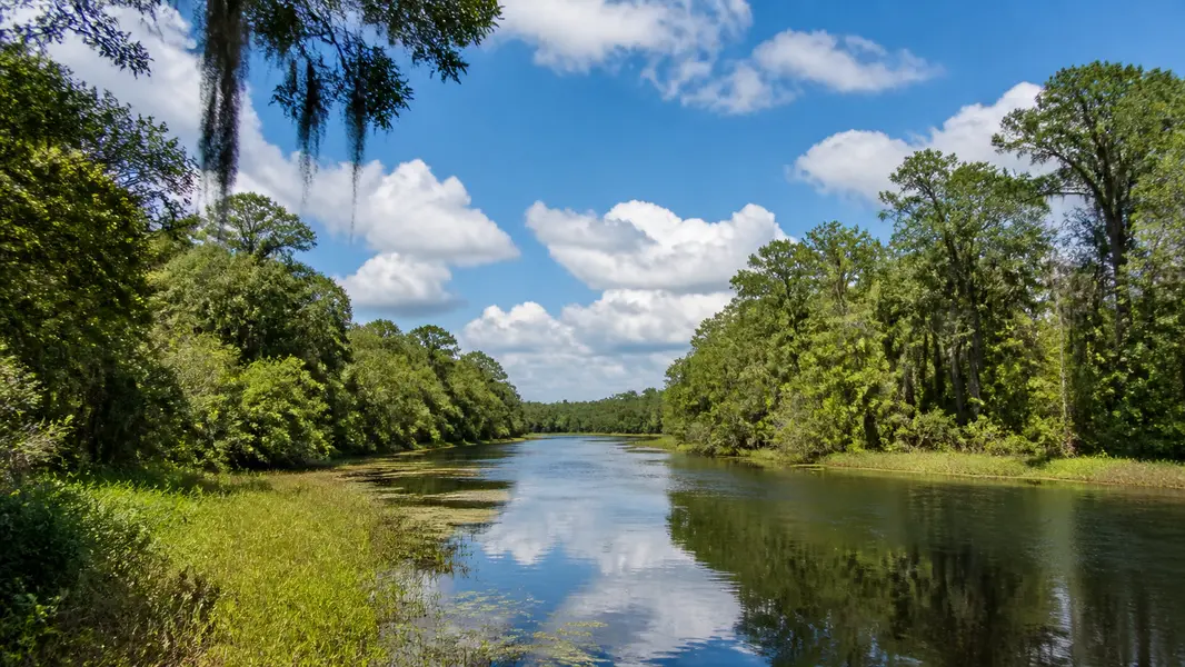 Alachua