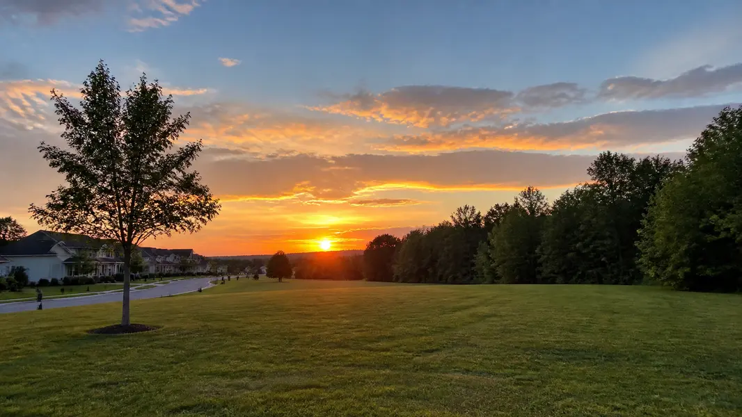Dacula