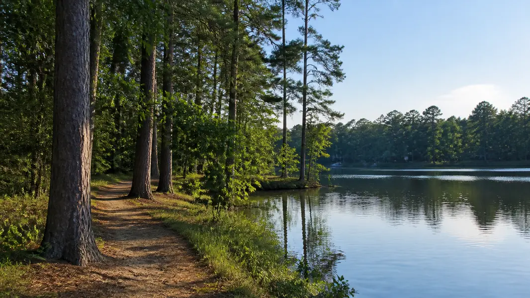 Kingwood