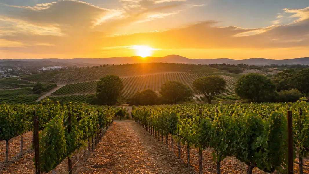 Temecula