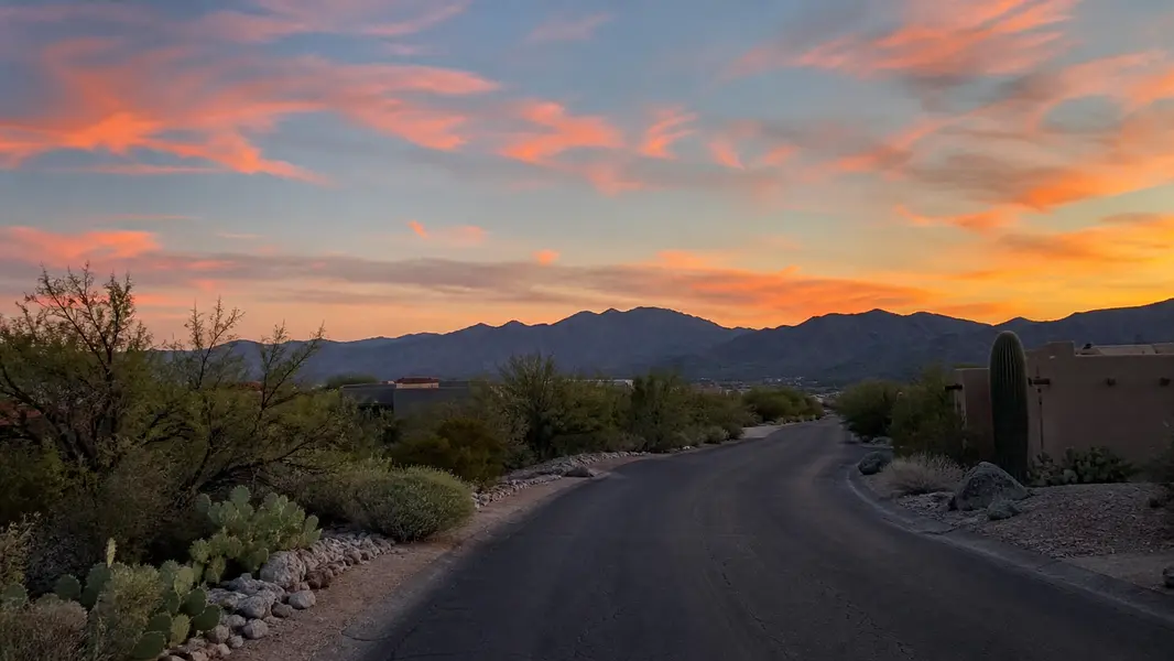La Paloma