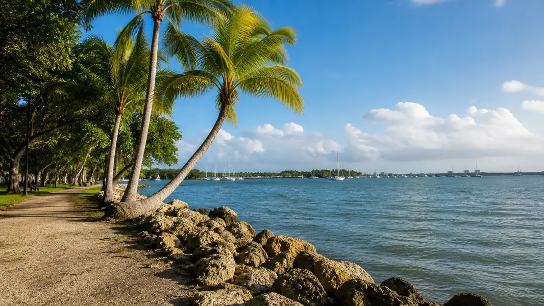 Coconut Grove