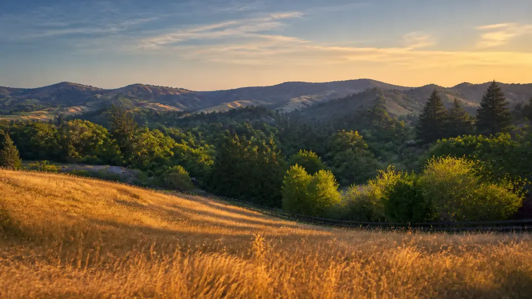 Moraga