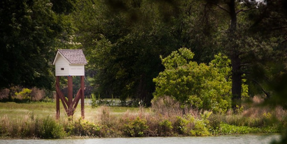 Existing Buffalo Lake setting at Summers Corner.